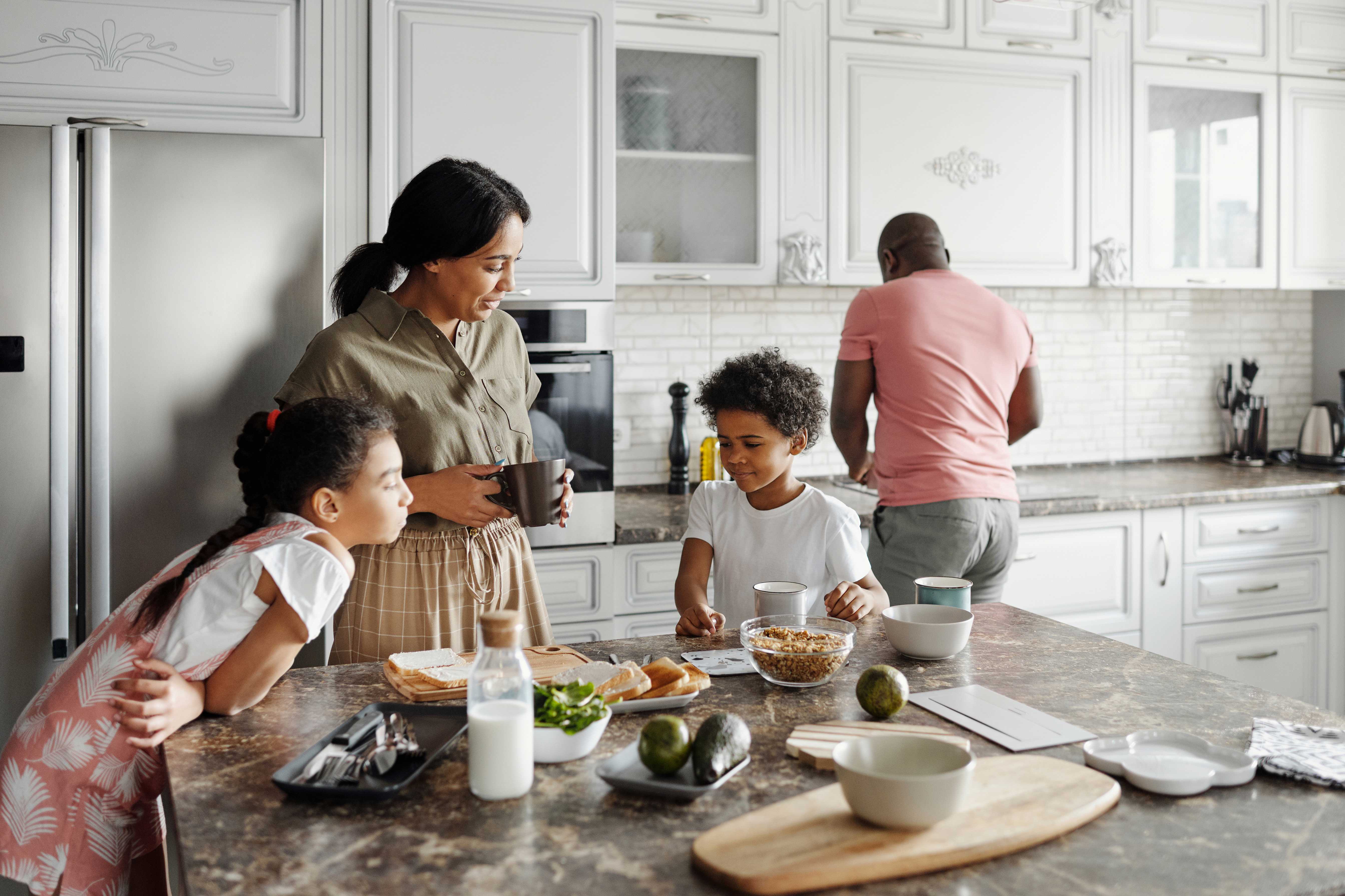 Quartzite Kitchen Countertop